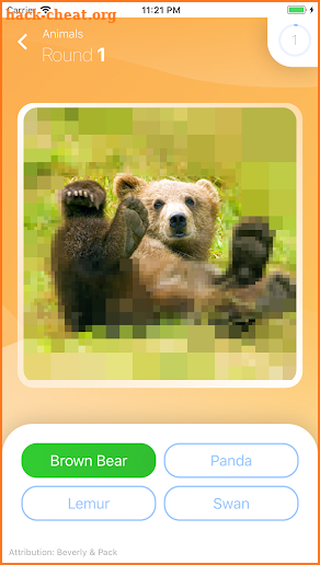 Pixel Pics - Picture Word Quiz screenshot