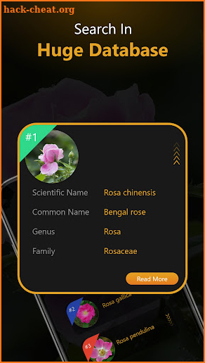 Plant, Bug, Fungus -Identifier screenshot