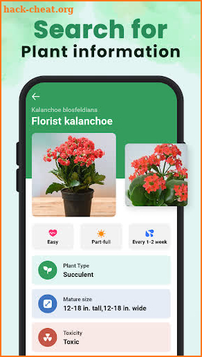 Plant Identifier - Iplant screenshot