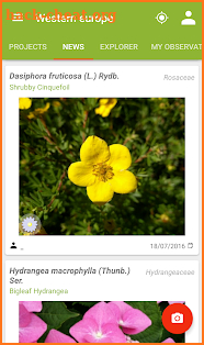 PlantNet Plant Identification screenshot