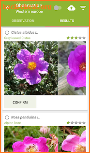 PlantNet Plant Identification screenshot