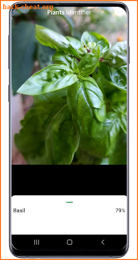 Plants identifier -plant identification by picture screenshot