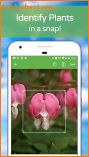 PlantSnap - Identify Plants, Flowers, Trees & More screenshot