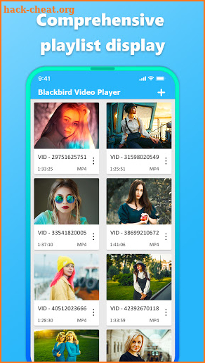 Plate Blackbird Playit Video Player screenshot