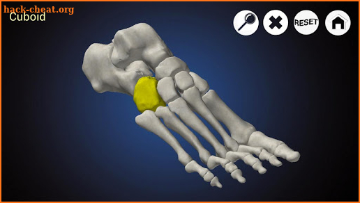 Podiatry 3D screenshot