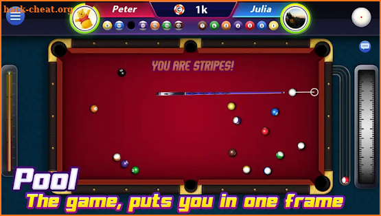 Pool 2018 screenshot