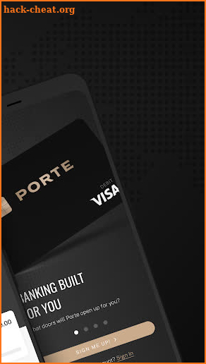 Porte: Mobile Banking screenshot