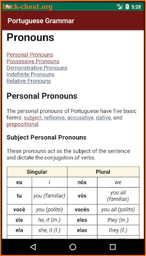 Portuguese Grammar Essentials screenshot