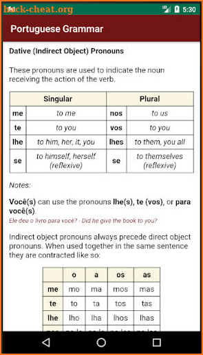 Portuguese Grammar Essentials screenshot