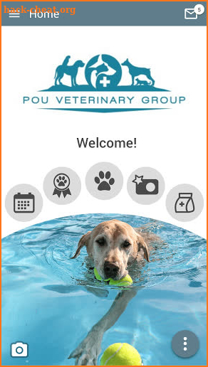 Pou Vet Group screenshot