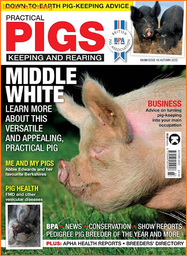 Practical Pigs screenshot