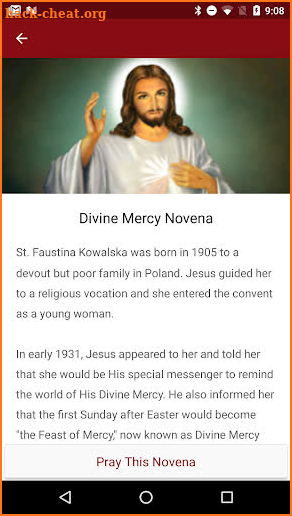 Pray Catholic Novenas screenshot