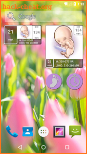 Pregnancy Calendar screenshot