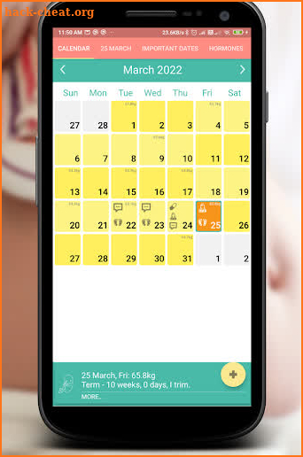 Pregnancy Calendar screenshot