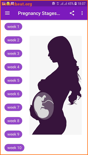 Pregnancy Stages Week by Week Guide screenshot