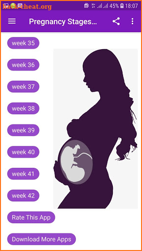 Pregnancy Stages Week by Week Guide screenshot