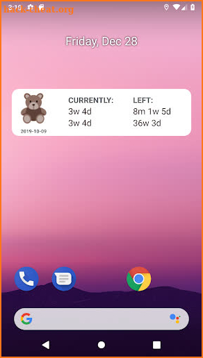 Pregnancy Widget screenshot