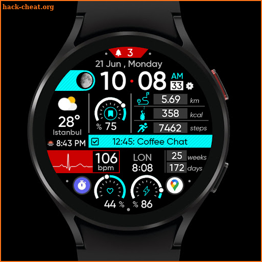 Premium Info - Watch Face screenshot