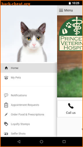 Princeton Veterinary Hospital screenshot