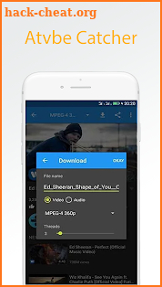 Pro Atube Catcher screenshot