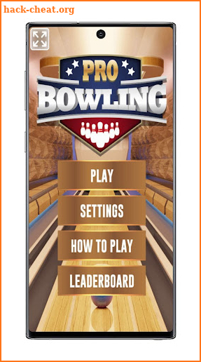 Pro Bowling 3D screenshot