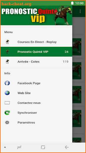 Pronostic Quinté VIP screenshot