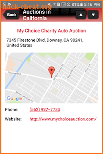 Public Auto Auctions screenshot