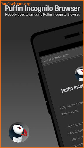 Puffin Incognito Browser screenshot