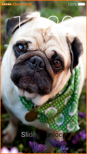 Pug Lock Screen screenshot