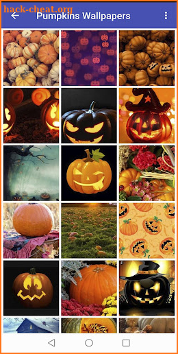 Pumpkin Wallpapers screenshot