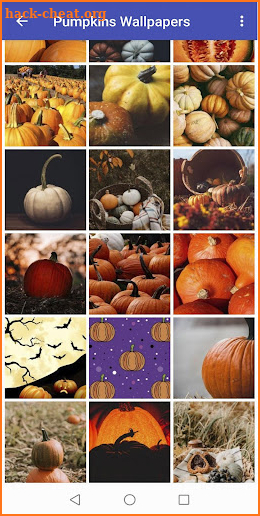 Pumpkin Wallpapers screenshot