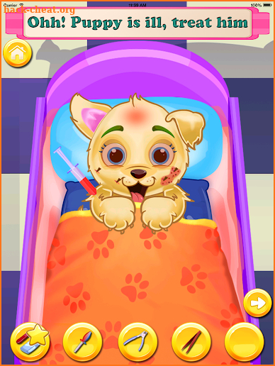 Puppy Pet Daycare screenshot