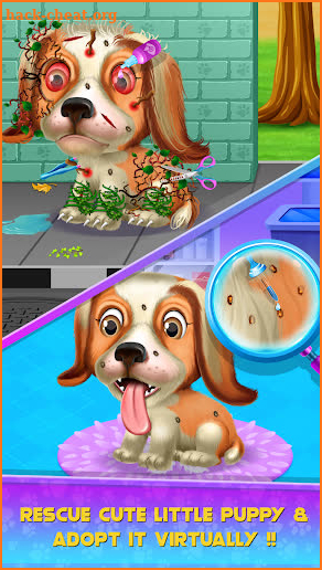 Puppy Pet Dog Daycare & Salon screenshot