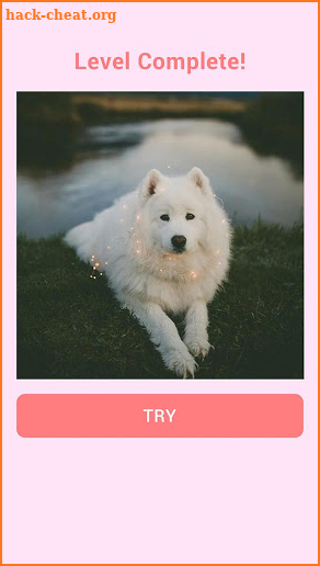 Puppy Puzzle screenshot