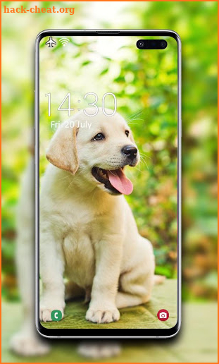 Puppy Wallpaper 🐶 screenshot