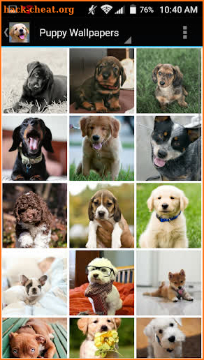 Puppy Wallpapers screenshot