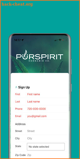 PurSpirit screenshot