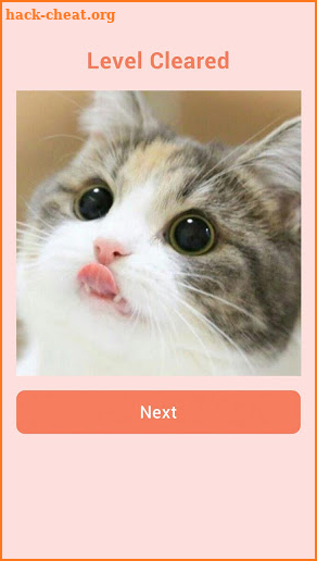 Puzzle Cute Cat - Swap Puzzle screenshot