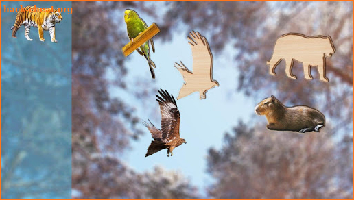 Puzzle Game for Kids Animals and Birds, Full Game screenshot