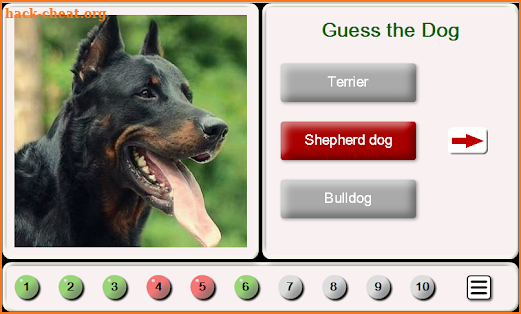 Puzzles and Guess the Breed of Dogs screenshot