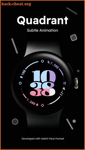 Quadrant - Animated Watch Face screenshot