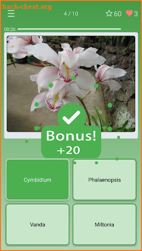 Quiz: Flowers, Plants screenshot