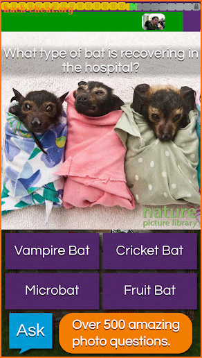 QuizTix: Animal Pics Trivia - Nature Image Library screenshot