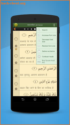 Quran Hindi (हिन्दी कुरान) screenshot