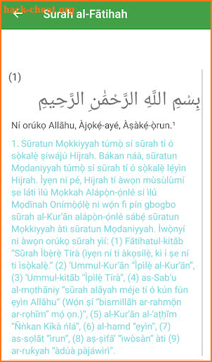 Quran in Yoruba screenshot