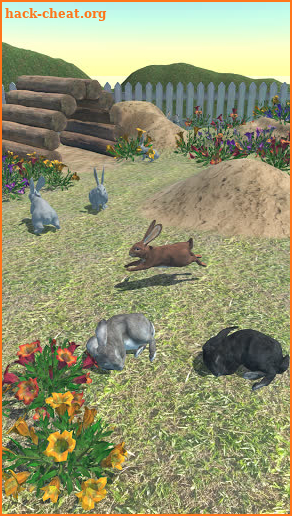 Rabbit Friends - caring games screenshot