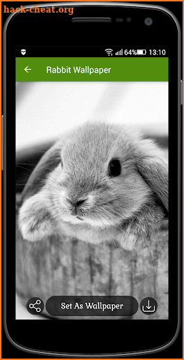 Rabbit Wallpaper screenshot