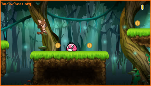 Raccoon Aventure! screenshot