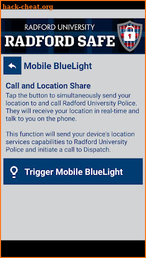 Radford Safe screenshot