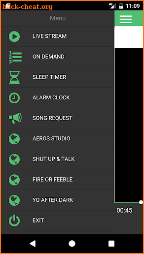 Radius Radio screenshot